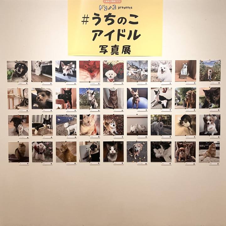 12d4927d 7ef9 4f21 8408 fdbb6f742ee9 1764993414892