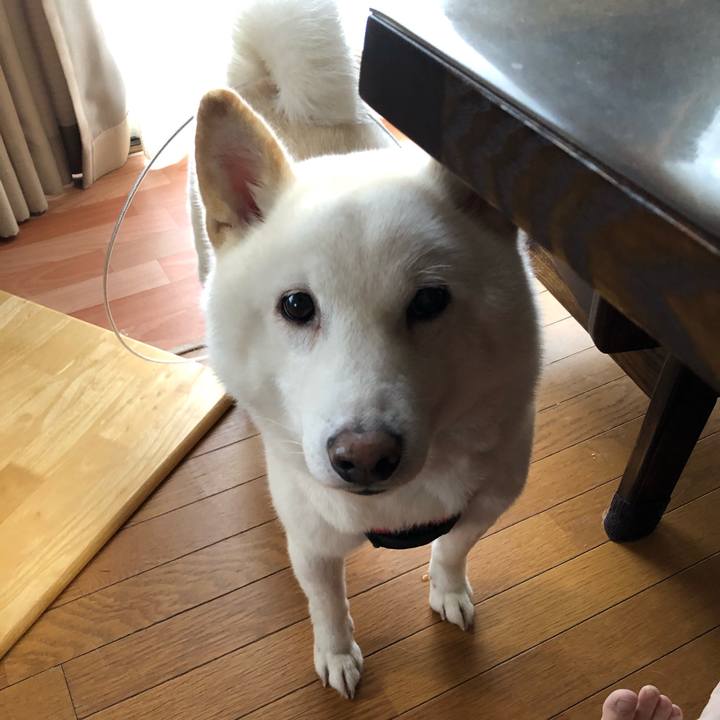 12d508c6 4f76 402f a6b7 02d70380dd0b 1607125298589