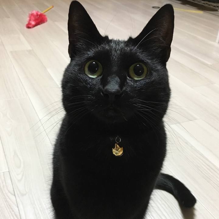 12d52738 3755 4fe5 b18e 45b793a8faf4 1514475979573