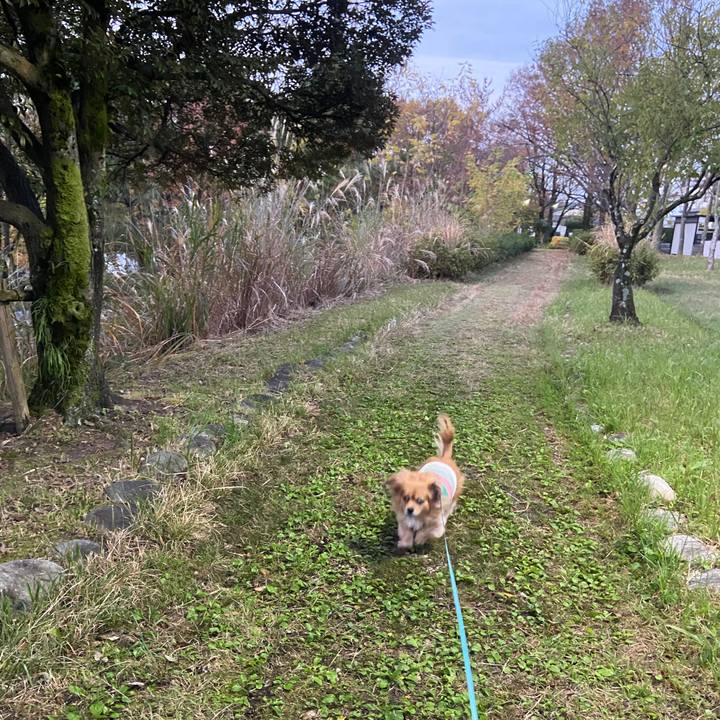 12d5357a 807f 4be6 8970 ddd806593196 1637185603532