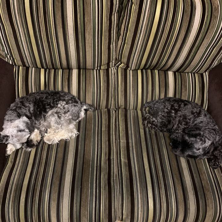 12d55417 d55b 4e7d 8eb0 70e18196b236 1594293951415