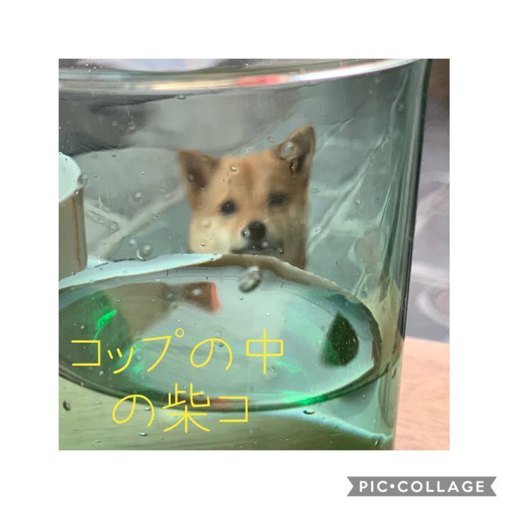12d55a3f ddea 4290 9d20 01d1d44c0b0d 1580636470042