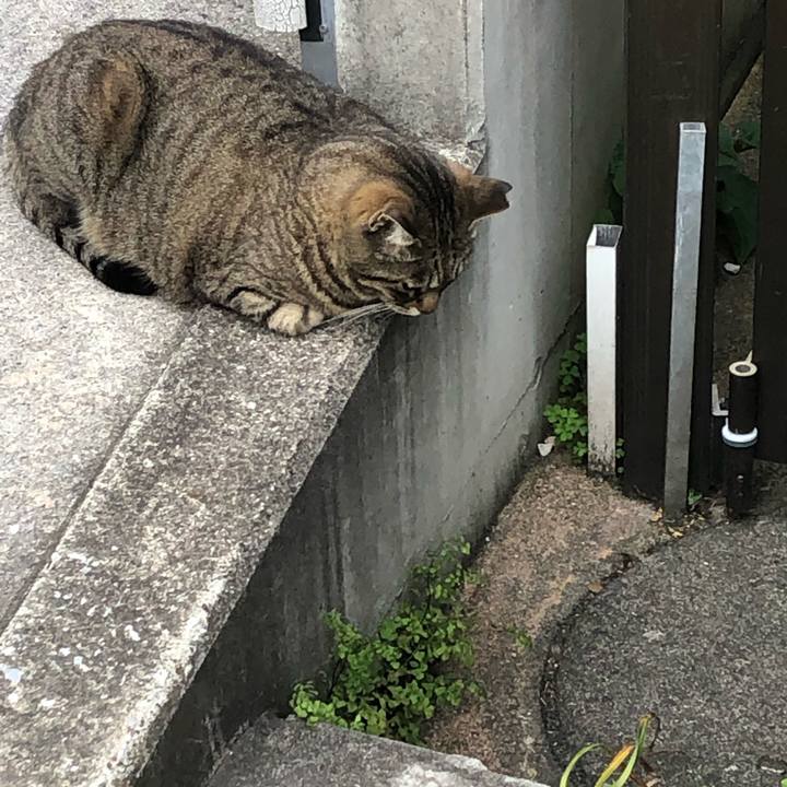 12d57d00 8770 44cc 922f 34df1deb7f59 1557055672232