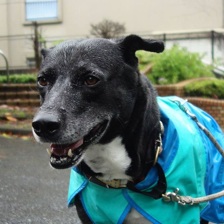 12d584ff 7794 4710 92c2 f90317c35a9c 1685755452022