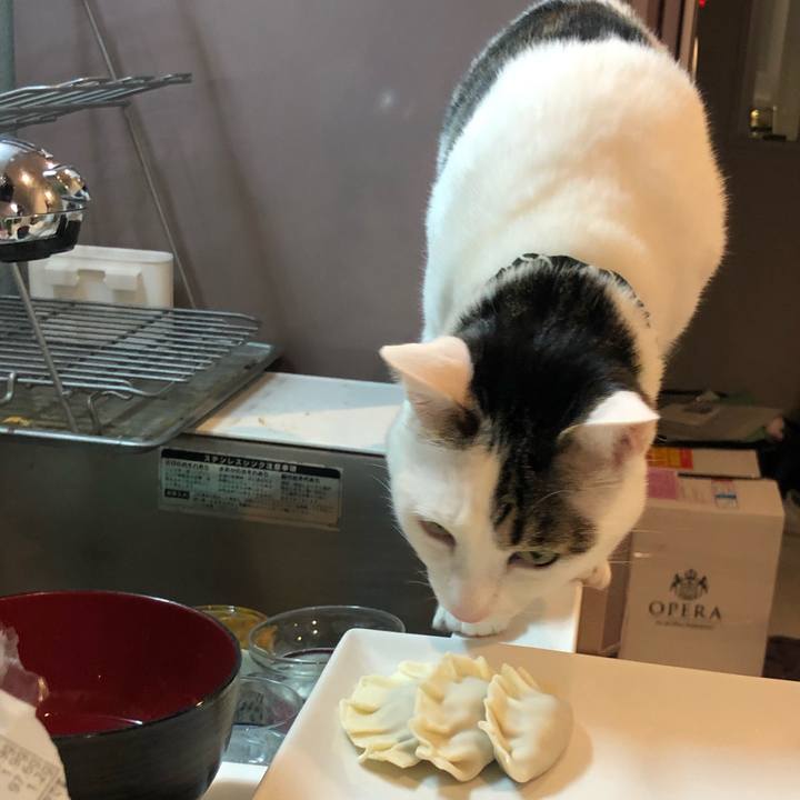 12d595b3 b6f0 4e51 9ac9 3aac61746244 1551006443648