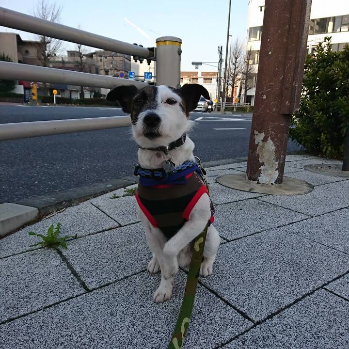 12d5aafc 009b 4735 acf0 42302be9d998 1520978840575