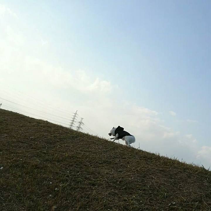 12d5adaa 632c 4ff8 9585 a6bce3a62e80 1510726993195