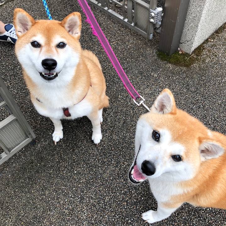 12d5d9de 0523 4a60 b46a 7b07f784f79a 1565854816472