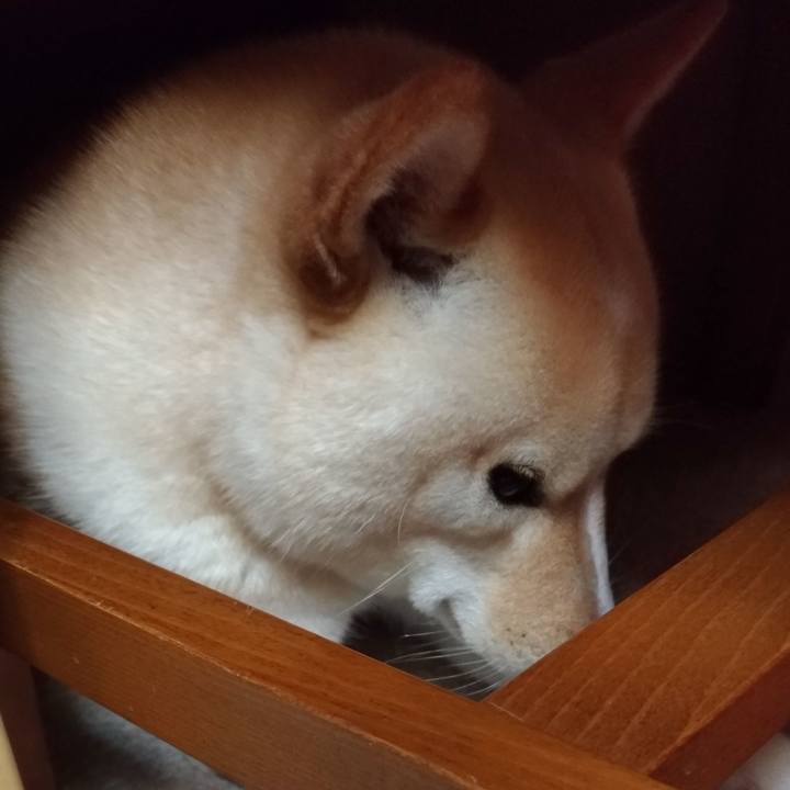 12d5de2b d73d 4466 abbd 409ac31ed313 1561289513091