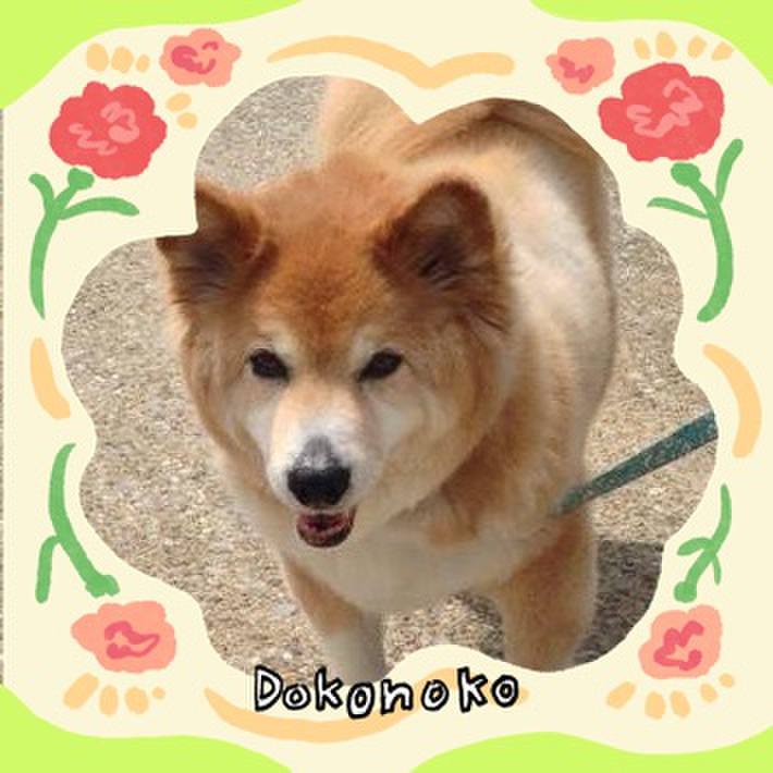 12d5e55c dc92 4d23 b442 3e4ad681f10e 1715476486279