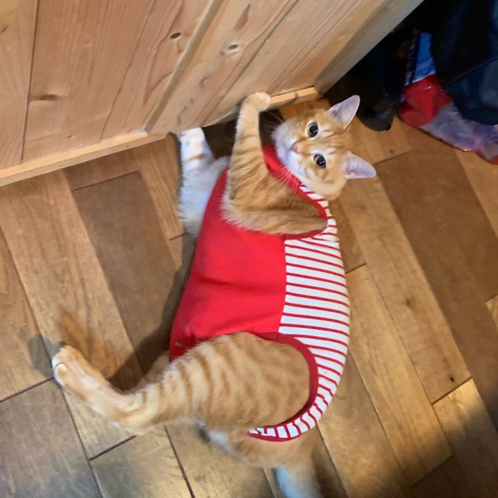 12d5f7fc 93f4 46b7 bee2 e70f3a80a03a 1578829743948