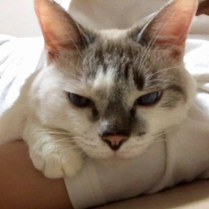 12d66aad d112 43e4 b256 b2fe1f6f9955 1535885838075