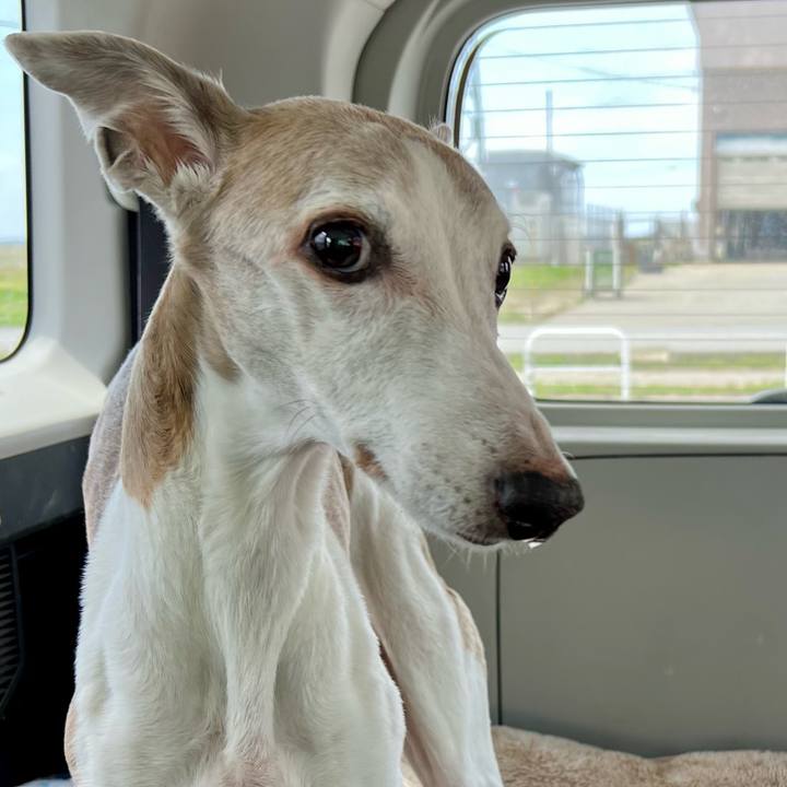 12d66f21 413e 4304 8d64 1a9fd5f26478 1776155739657