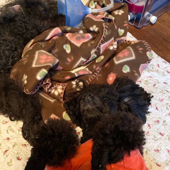 12d67bd8 e19a 47cb 9163 c7ab81f6a757 1602727805964