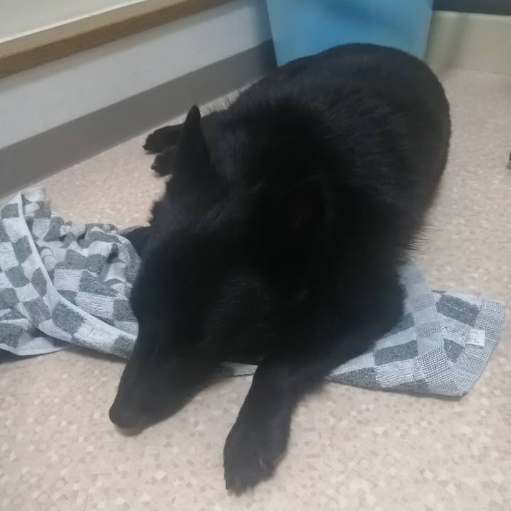 12d6f350 9413 459e a98c 9c0ad6872615 1623068652519