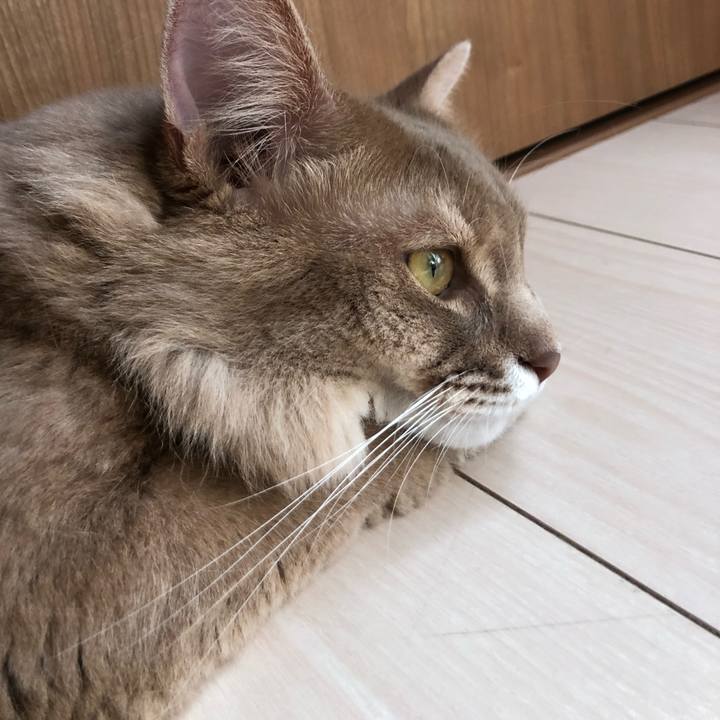 12d78145 441b 4215 94d4 3f9ea117c18d 1598660626879