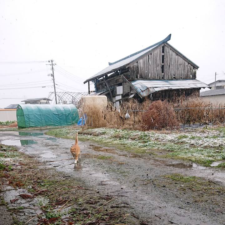 12d7a92c bd22 416b a994 f76707aa7f23 1607832713918