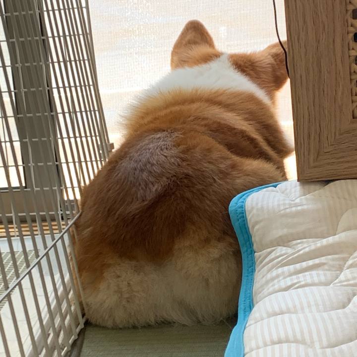 12d7f2cf 84c5 4469 8abc eb51571196ae 1686886941360