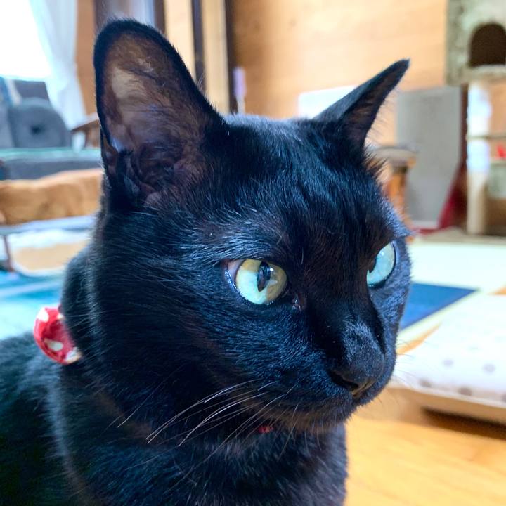 12d826aa 7586 447a a87c 3b698da7c9b1 1593239371749