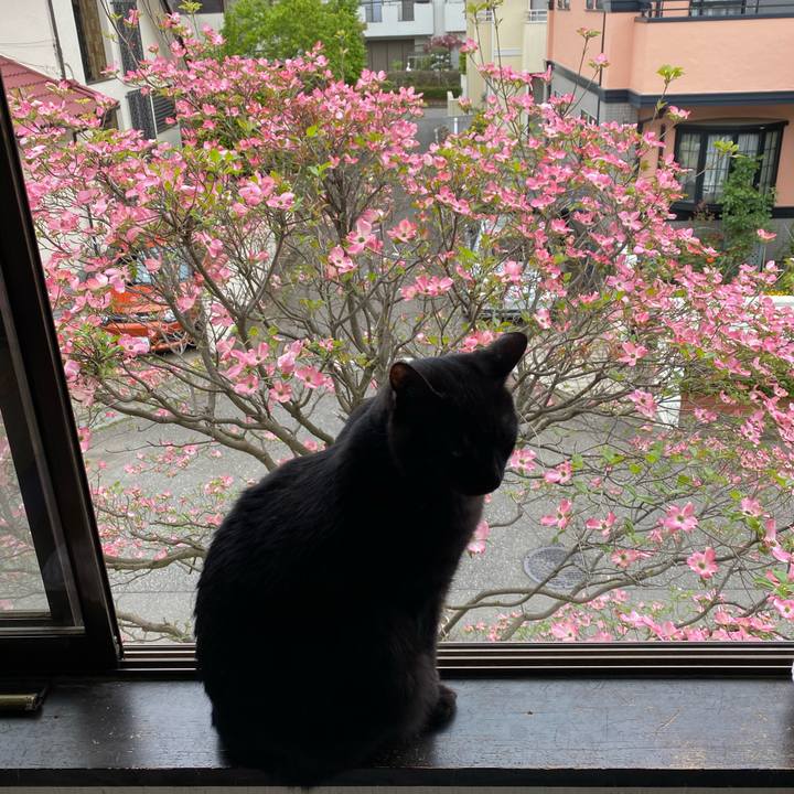 12d8271a 10db 4737 bbcf 7bb191333fb4 1587457137226