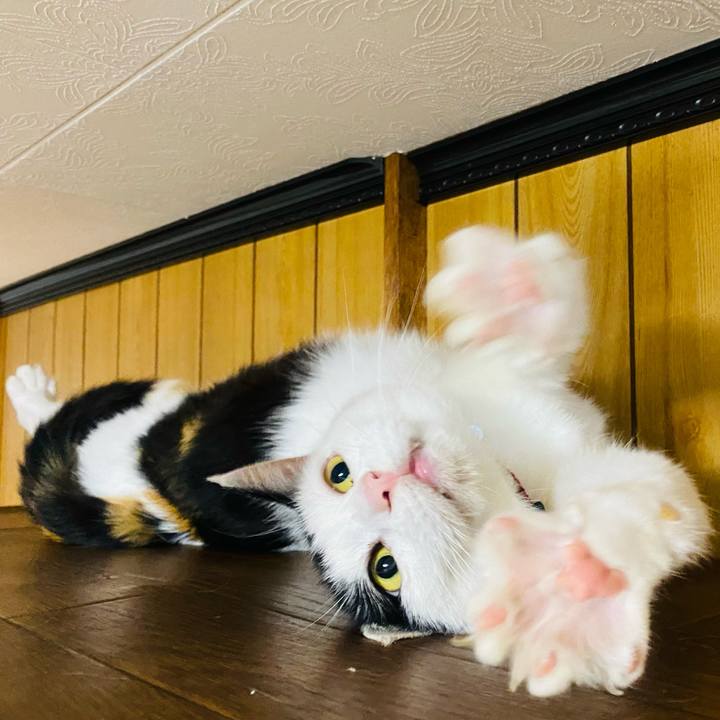 12d82eed 6999 4c9e ad1e 45f677501ca3 1655122326804