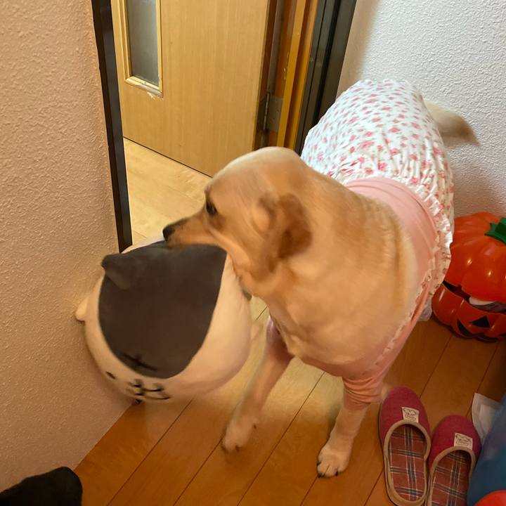 12d86191 4dc8 4bfb a6f6 8d75b9f1171b 1641595954849