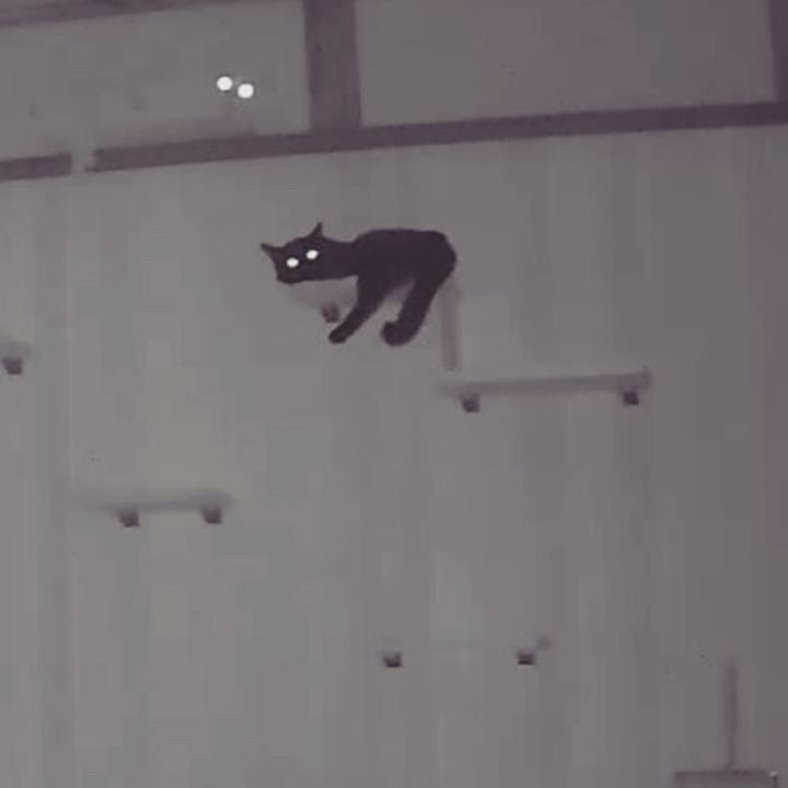 12d87fa5 899b 4599 a335 40d6e72e2ac3 1527939339969