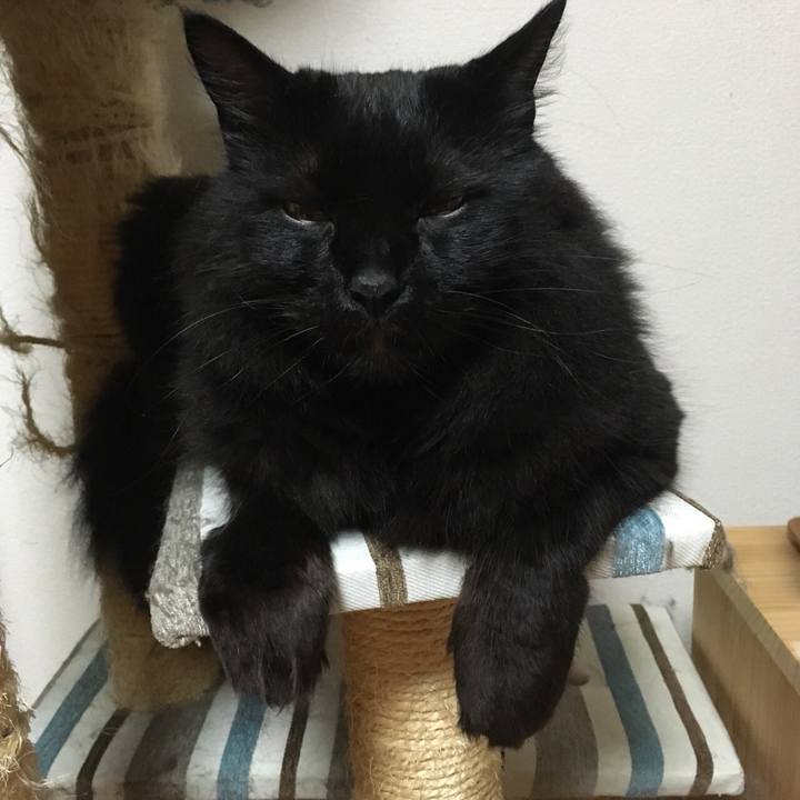 12d8c3eb fc22 418e afc4 25a73321d030 1531790822073