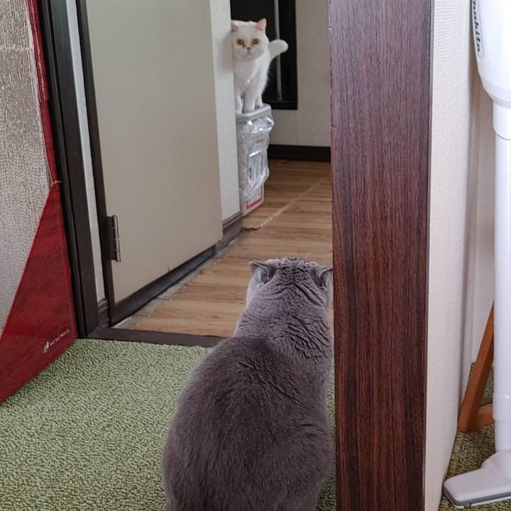 12d97666 c99e 42e9 b797 4c78833ef7c7 1653181465452