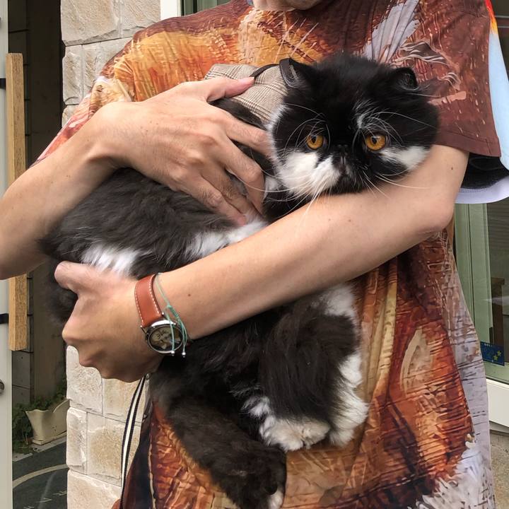 12d9a3bc db02 4791 b4a3 4689330a227a 1730019446152