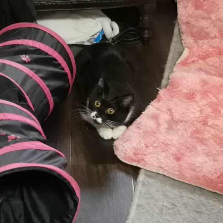 12d9b4f4 37eb 4b18 ae79 a6b06cab439b 1542695992084