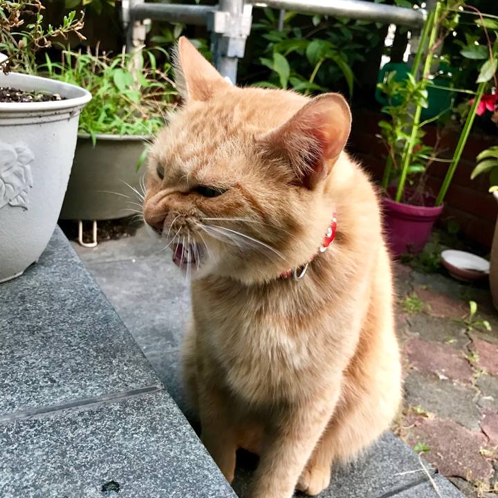 12d9c5ea 1a53 4671 aac4 9199949de250 1531995201494