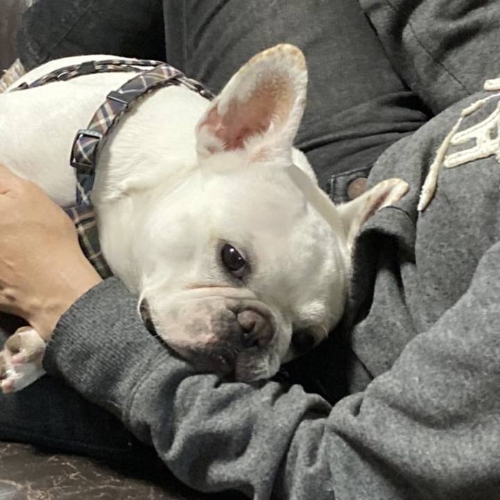 12da0e3f 1033 4fca 9199 9eb97de53fee 1652753459593