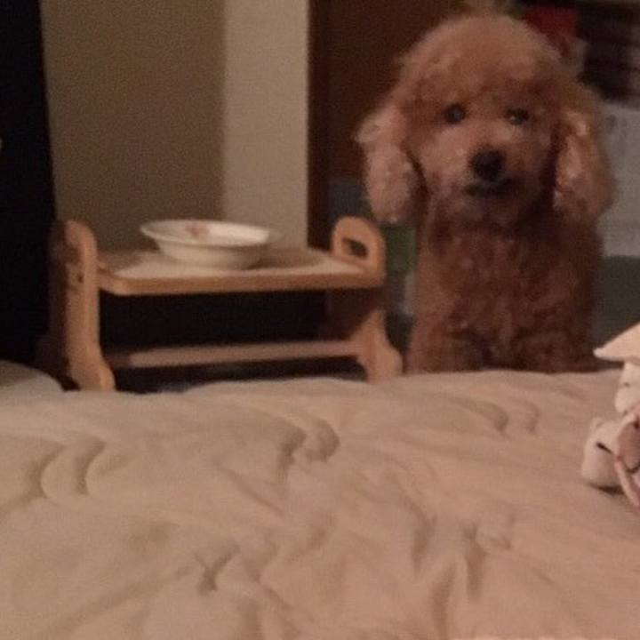 12da0eb6 60c9 4c6a 88d3 d11945d7aeca 1547128198096