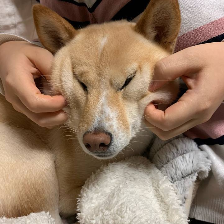 12da393c e1e9 4566 89d2 9b9ac7d808fa 1635066324513