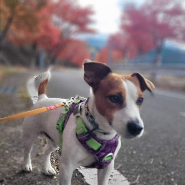 12da4ddf 6359 4362 919c c89b5719cc76 1700624276940