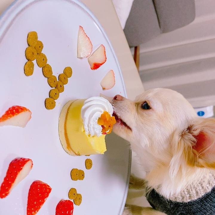 12da72ff 5c3d 42d4 9f60 6d64c83fa99d 1612061080732