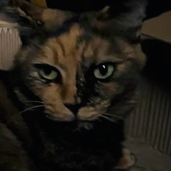 12da7acc 0cb2 42f3 ad21 d820e84527c5 1758574590382