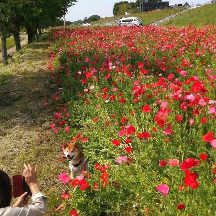 12da92ec bd79 4853 bd8e 636a10dccb28 1683632447561