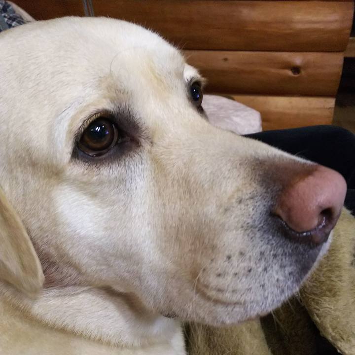 12daa30d 36e1 4283 9270 6308925314ed 1573647073081