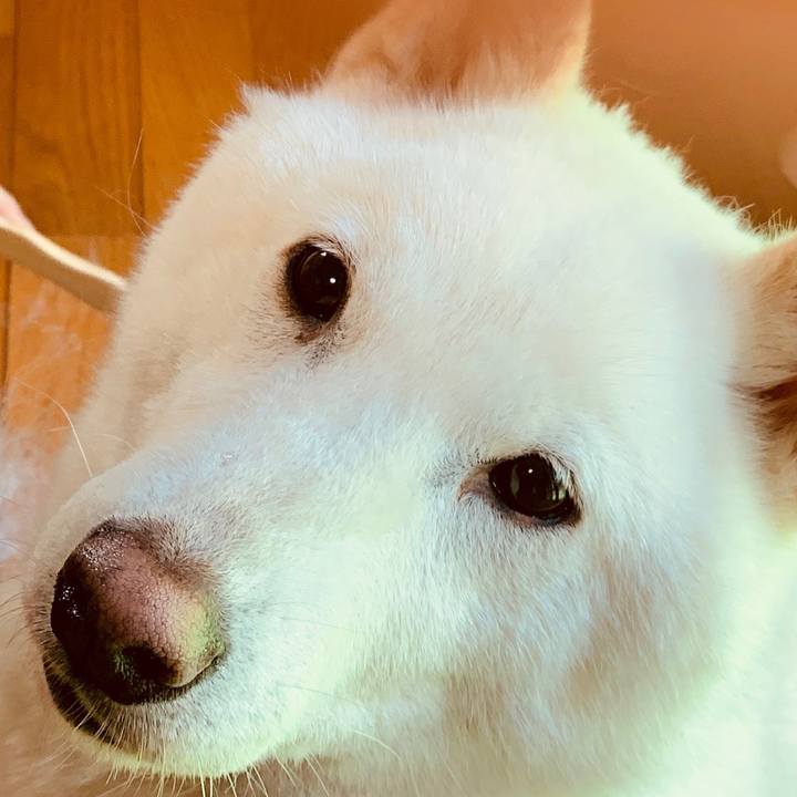 12daa651 4699 41f2 bd4a 985c59b28751 1591824438144