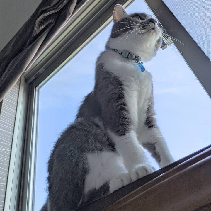 12dafad0 f91e 49b0 b5ff 818247ae7cfa 1755478358304