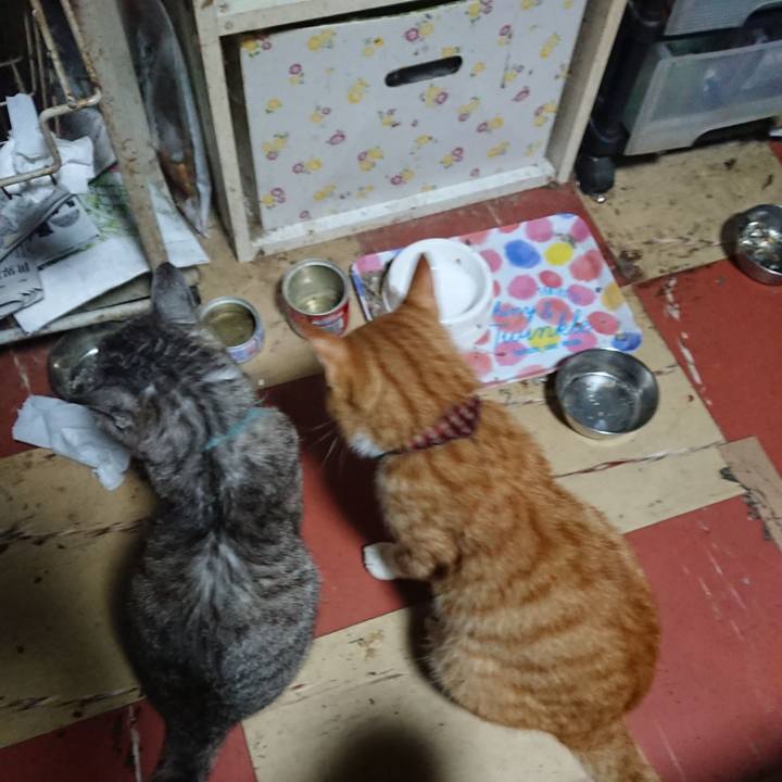 12db27b9 75d1 4f87 9283 bc932f9605b4 1566590275111