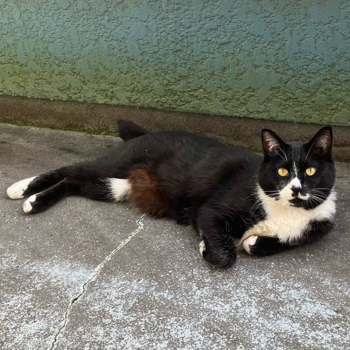 12db4796 f904 4721 a009 28644ba8c54a 1753930752829