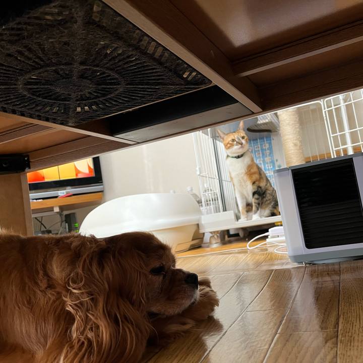 12db4996 7aae 4204 890e 641d115903a1 1724192377965