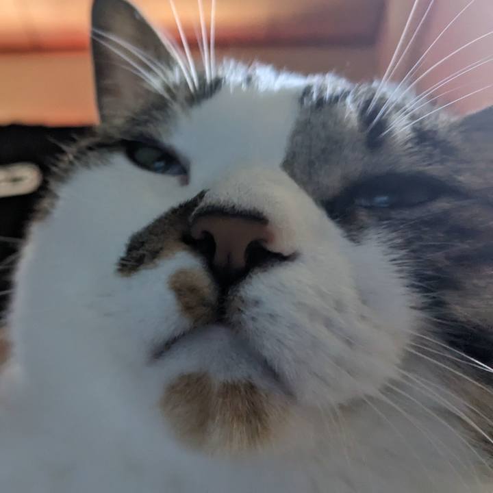 12db4bcb acda 4794 80fd 9f4b72c30ae2 1712451932393