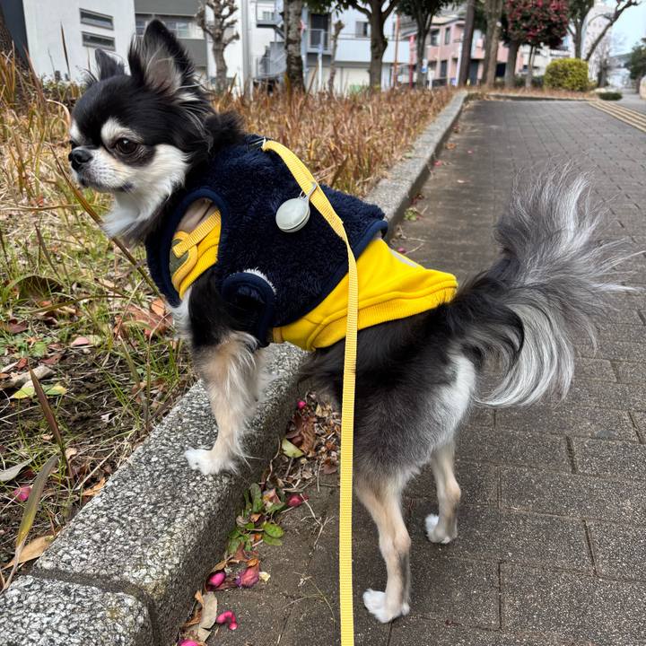 12db973d 8554 414f b6f9 9b1717a82e52 1736698534269