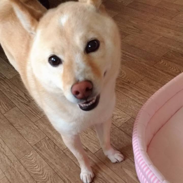 12dba64d 4e89 48dc bdee a3e56c801611 1591308592431