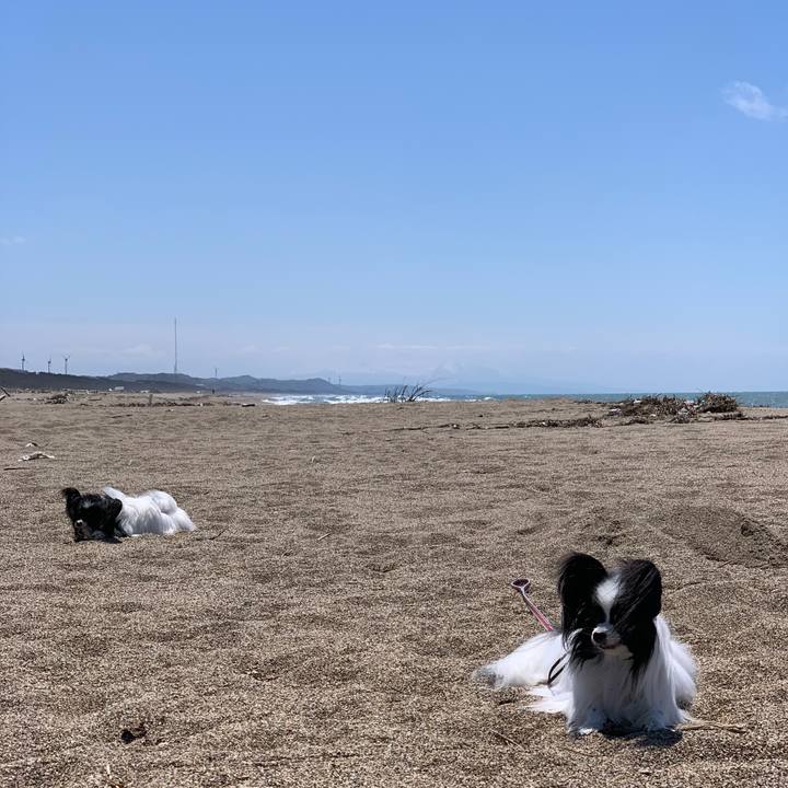 12dbb3fa 3702 49ea 9243 79a2e2a1d22b 1556890928911