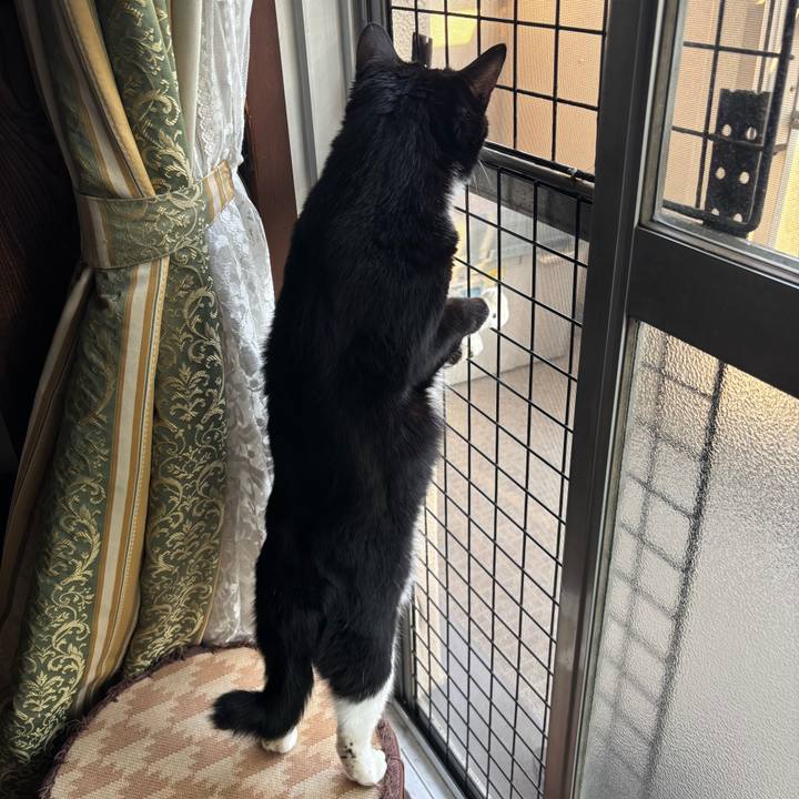 12dbd677 82a8 446e 9683 b89784b632d5 1758876785502